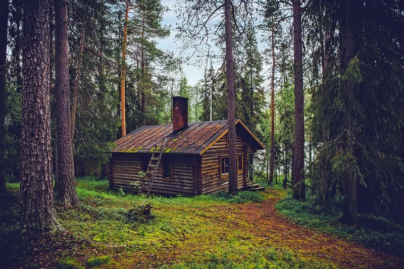 Mountain Cabin