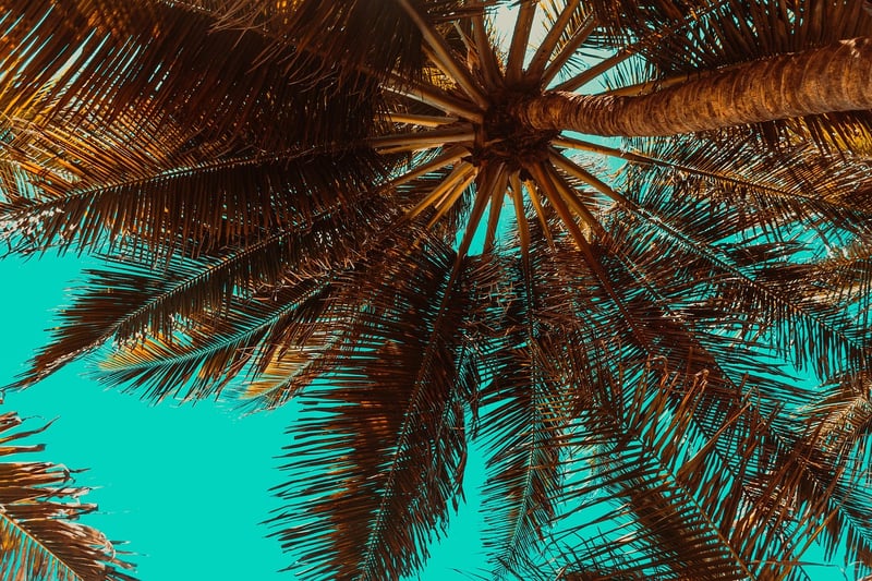 Island Getaway